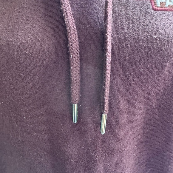 The North Face Burgundy Hoodie Small - Picture 4 of 6